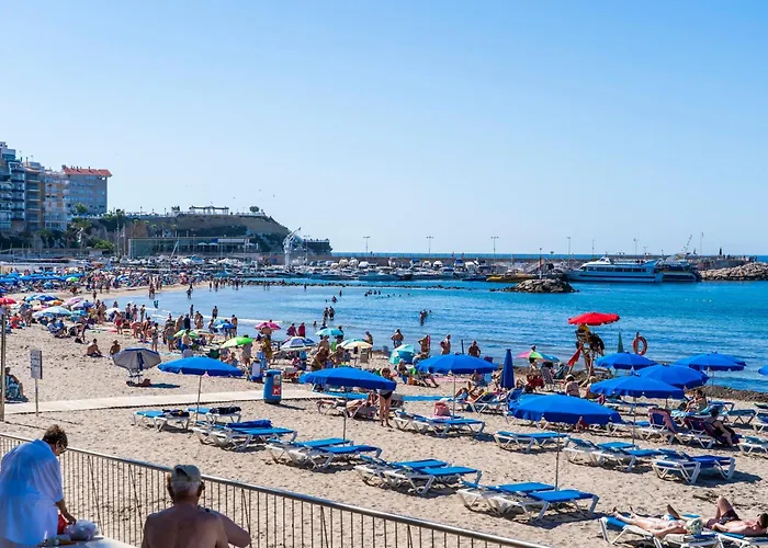 Rinconcito Premium *