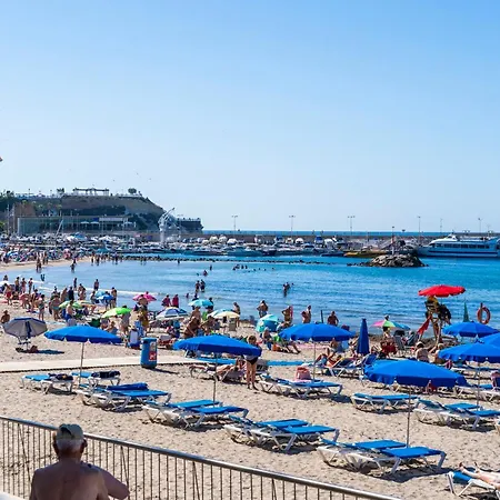 Rinconcito Premium *